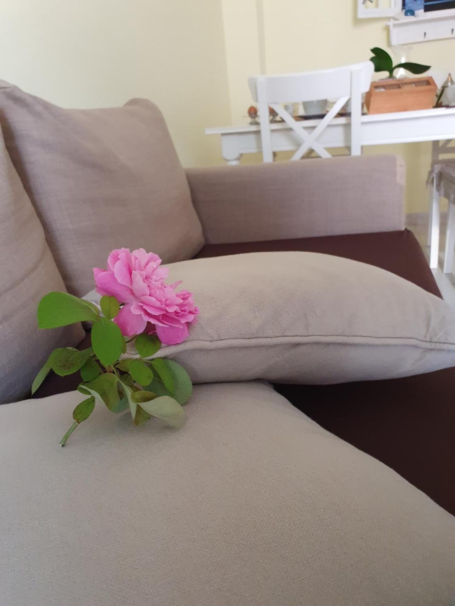 Casa Vacanze Rosy "Nel Verde" بالينورو المظهر الخارجي الصورة