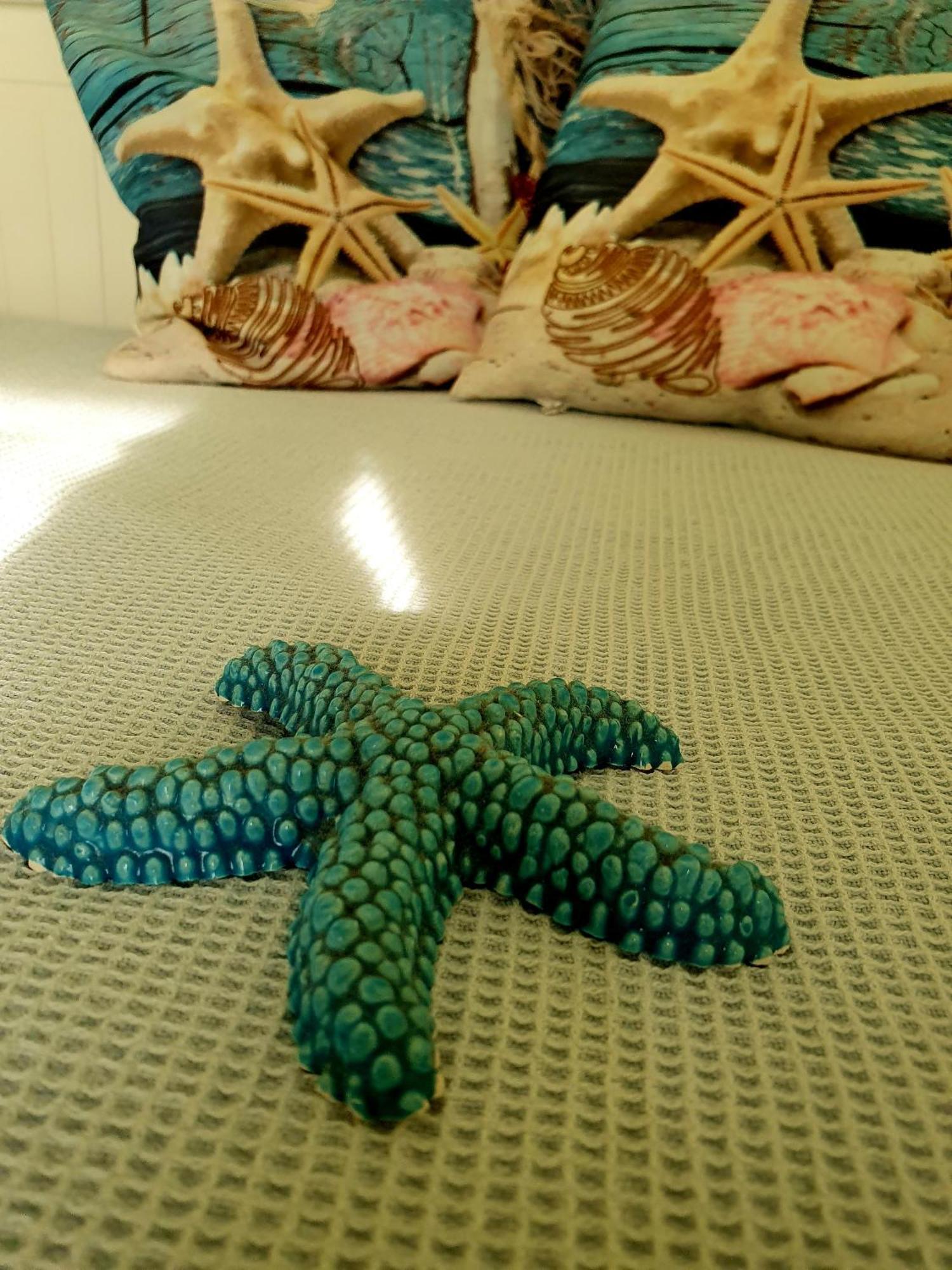 Casa Vacanze Rosy "Nel Verde" بالينورو المظهر الخارجي الصورة